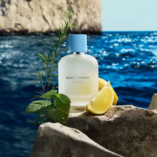 Dolce Gabbana Light Blue Pour Homme EDT 50ml